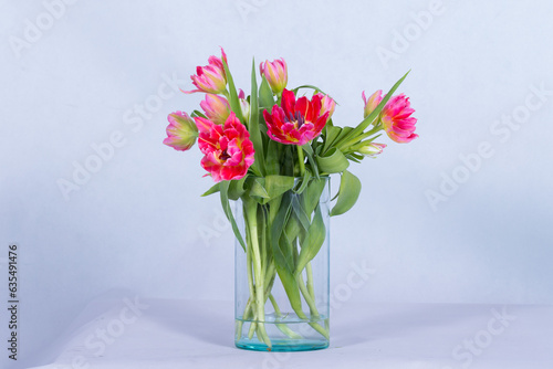 Many kinds of beautiful flowers put in vase on a white background © the_akg