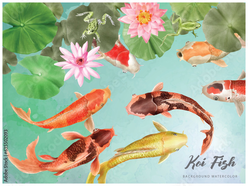 beautiful koi fish watercolor background