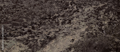 Wallpaper Mural texture of a fur Torontodigital.ca