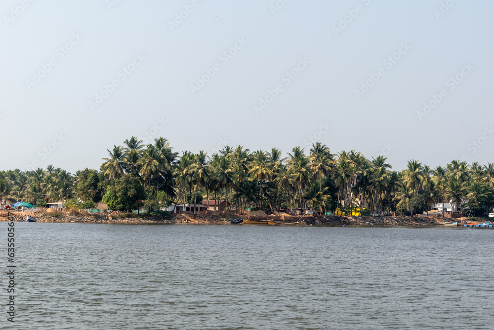 A palm fringed coastal village on the banks of the Netravati river near Mangalore in Karnataka in South Indian.