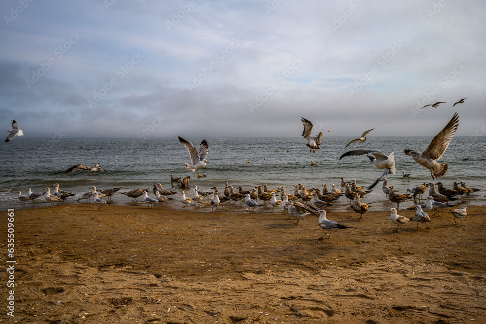 Spring on a Beach