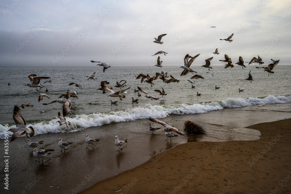Fototapeta premium Spring on a Beach