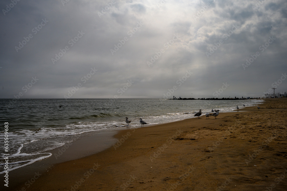 Spring on a Beach