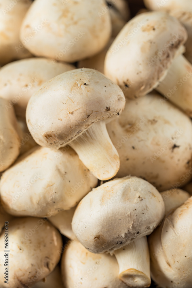 Raw White Organic Champignnon Mushrooms