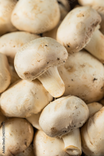 Raw White Organic Champignnon Mushrooms
