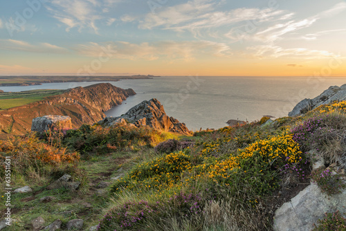 The top of Garn fawr on the Pembrokeshire coast with heather and gorse flower