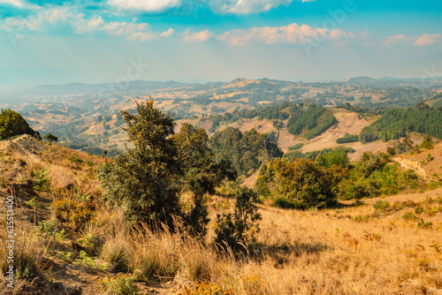 African landscape with trees and maize farms at Mporoto Range in Tanzania