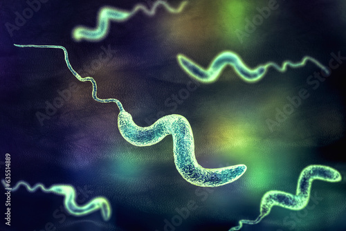 Campylobacter bacteria, 3D illustration. photo