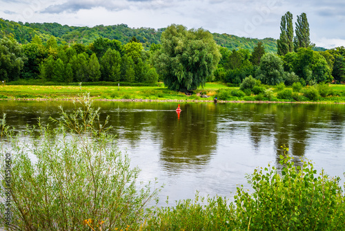 Elblandschaft bei Niederpoyritz mit stattlichen Bäumen am Fluss