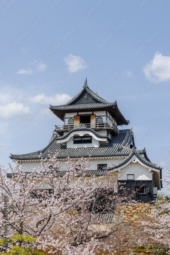 犬山城内庭園から桜と犬山城天守閣