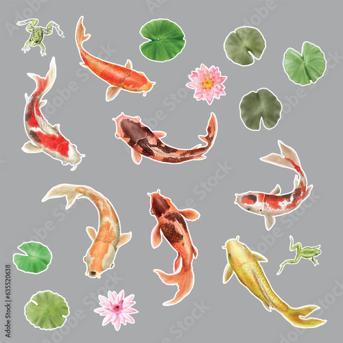 beautiful koi fish watercolor sticker set