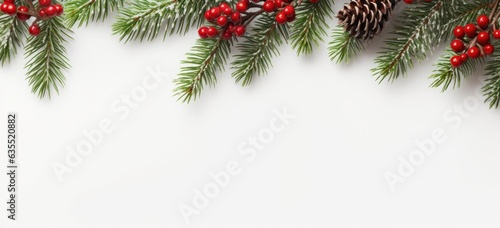 Christmas banner showcasing red berries and snowy space. Concept of winter celebration.