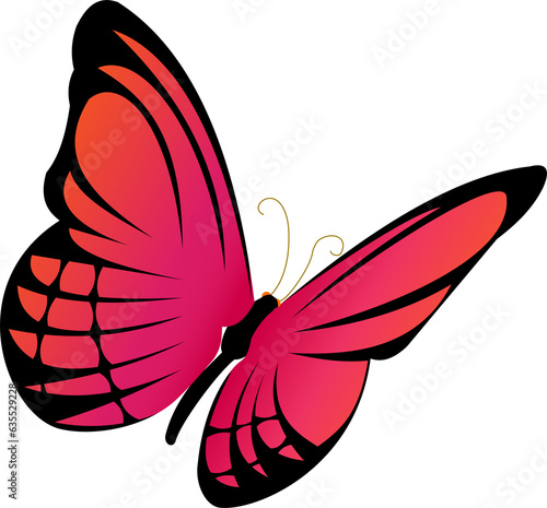 Canvas Print butterfly illustration