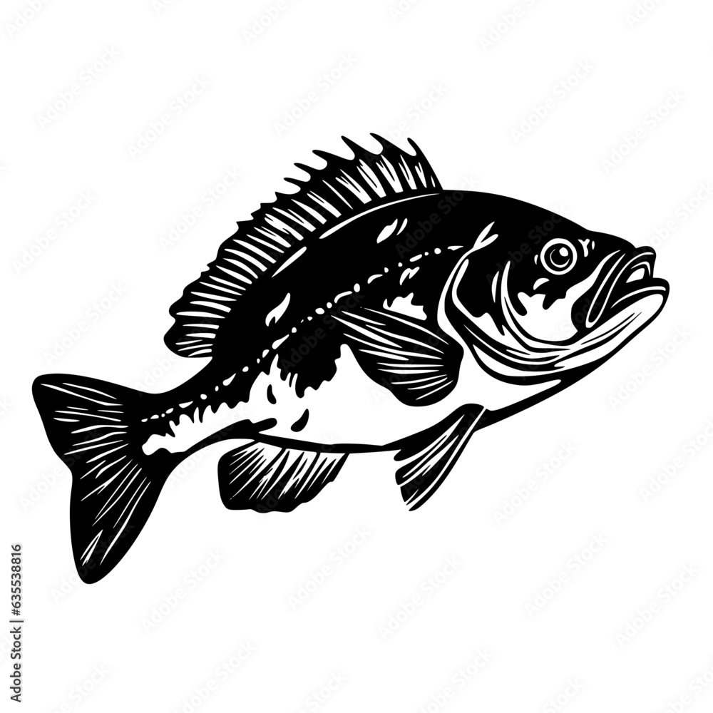 Fototapeta premium Fish Vector