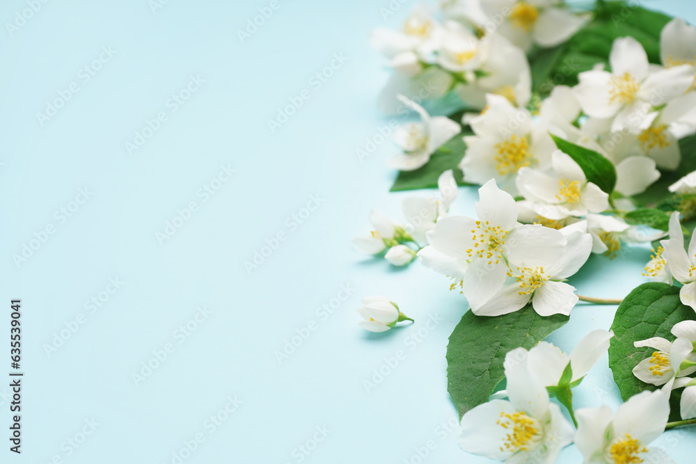 Fresh jasmine flowers with leaves on color background Fresh jasmine flowers with leaves on color background