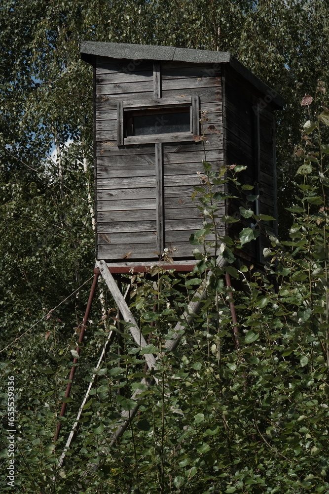 Wooden hut for hunting on stilts in the forest Wooden hut for hunting on stilts in the forest