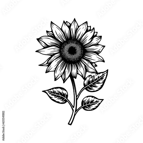 Sunflower Vector