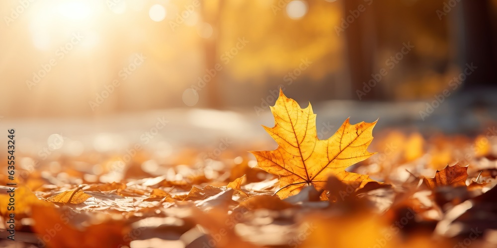 Beautiful autumn landscape with yellow leaves and sun. colorful leaves in the garden autumn leaves on natural background