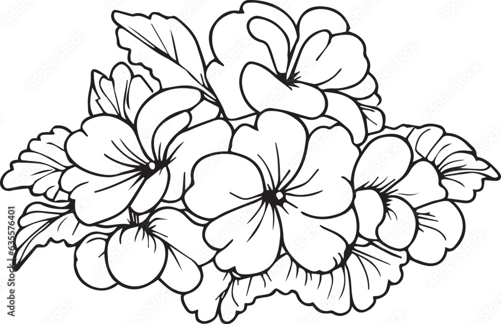 Fototapeta premium primrose coloring pages flower children, primrose line drawings