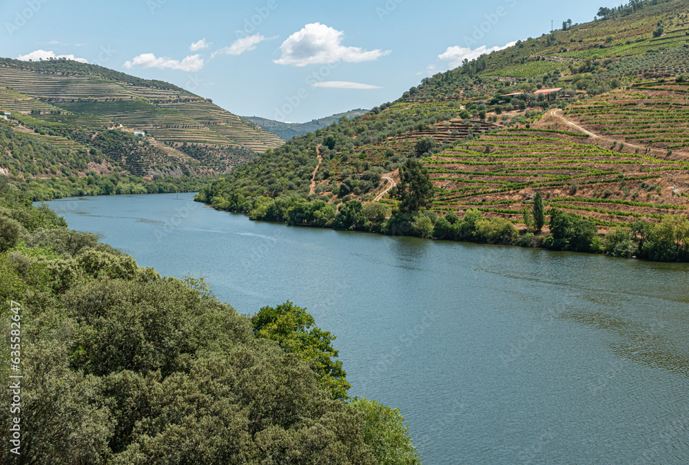 A wide view of terraced vineyards in Douro Valley Alto Douro Wine Region in northern Portugal officially designated by UNESCO as World Heritage Site.