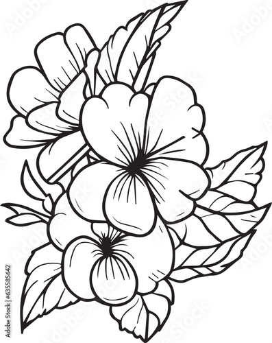 primrose coloring pages flower children  primrose line drawings