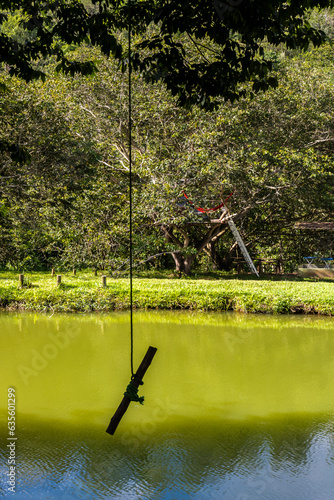 Lake in the woods in Brazil, with a rope to jump into the water