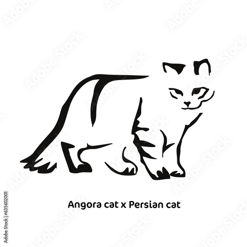 Vector drawing of a stylized cat with long hair. Mix of Angora cat with Persian cat. Animal gestalt design.