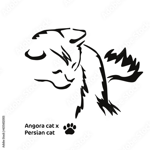 Vector drawing of a stylized cat with long hair. Mix of Angora cat with Persian cat. Animal gestalt design.