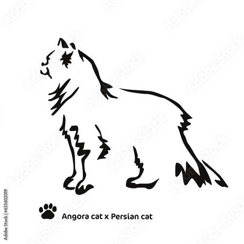 Vector drawing of a stylized cat with long hair. Mix of Angora cat with Persian cat. Animal gestalt design.