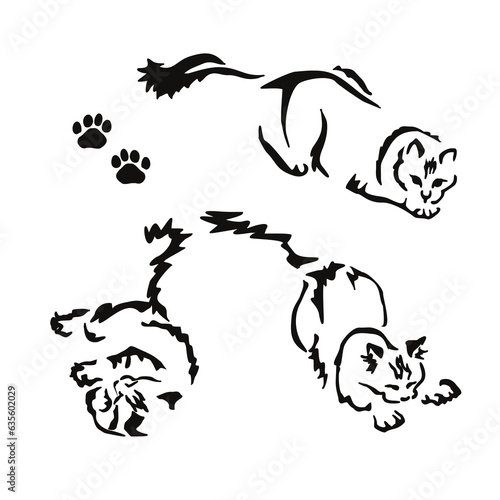 Vector drawing of a playing cat. Mix of Angora cat with Persian cat. Gestalt animal design