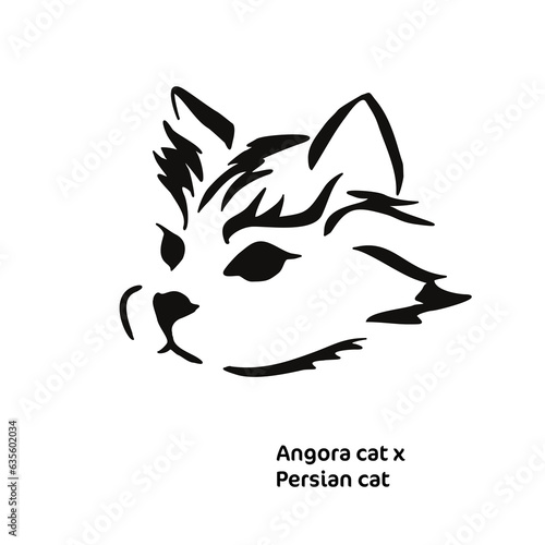 Vector drawing of a stylized cat with long hair. Mix of Angora cat with Persian cat. Animal gestalt design.