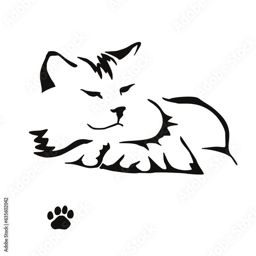 Vector drawing of a stylized cat with long hair. Mix of Angora cat with Persian cat. Animal gestalt design.