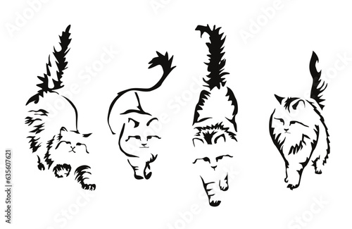 A set of vector drawings of a long-haired cat in different poses. Leisurely walking angora cat with a raised tail. Image of an animal in the style of gestalt design