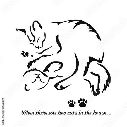 When two cats live in the house... Gestalt image of animals