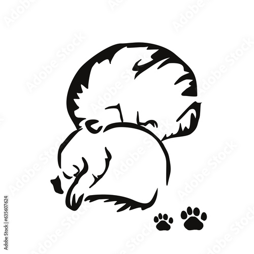 When two cats live in the house... Gestalt image of animals