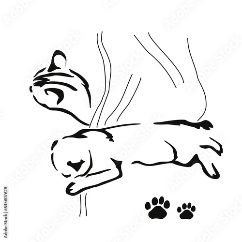 When two cats live in the house... Gestalt image of animals