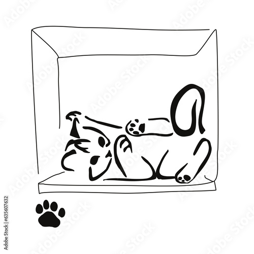 The kitten is trying to fit in the box. Gestalt animal design