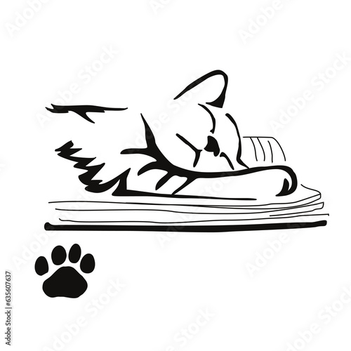 The kitten sleeps on the pages of an unfolded book. Gestalt animal design