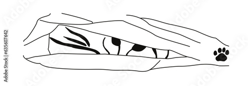 A stylized image of a cat hiding under a blanket. Gestalt animal design.