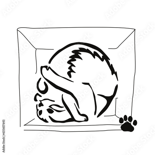 The kitten is trying to fit in the box. Gestalt animal design