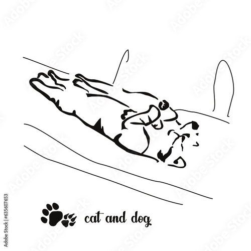 When two cats live in the house... Gestalt image of animals