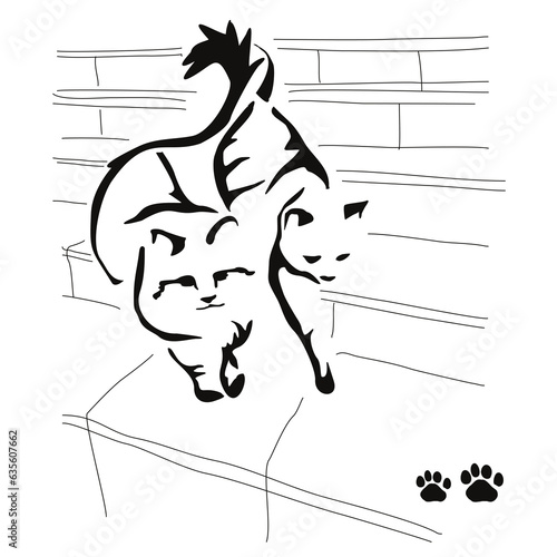 When two cats live in the house... Gestalt image of animals