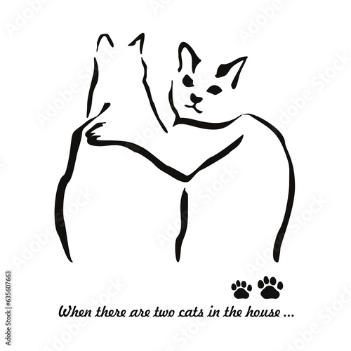 When two cats live in the house... Gestalt image of animals