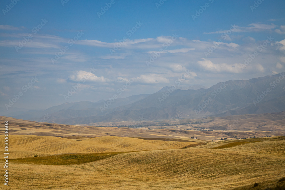 landscape of the central asia