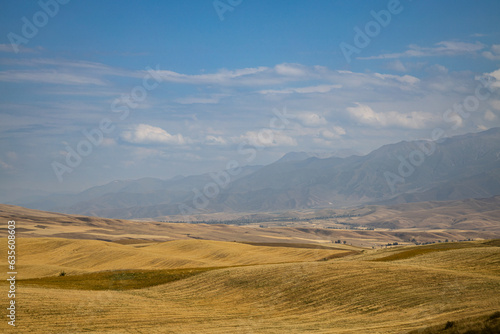 landscape of the central asia © Oblomov