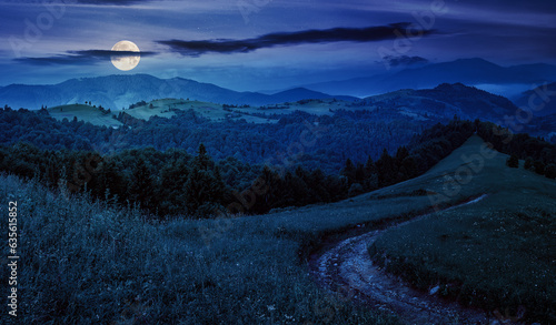 landscape with empty rural road to coniferous forest through the grassy hillside meadow on high mountain range at night. wonderful countryside scenery in full moon light © Pellinni