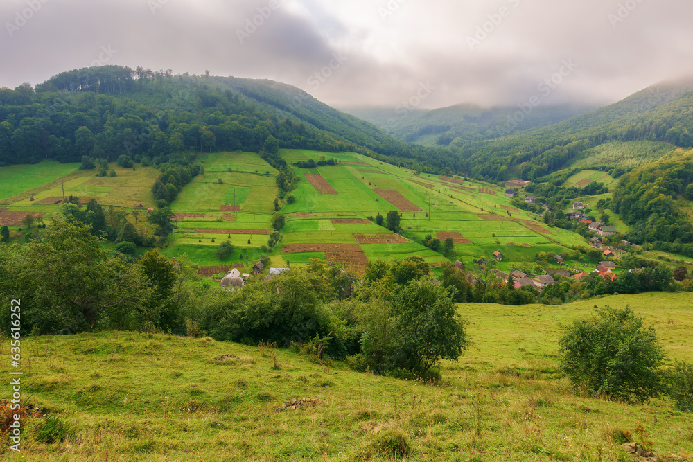 Fototapeta premium carpathian mountain landscape in autumn. beautiful countryside scenery on a misty morning. village down in the valley. fields and pastures on the hills