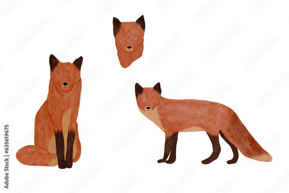 Watercolor foxes collection Illustrations - set of red fox. Hand drawn on white background, isolated. Watercolor foxes collection Illustrations - set of red fox. Hand drawn on white background, isolated.