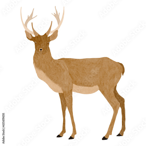 Standing Deer hand drawn illustration - isolated on white background. Floral wreaths. Woodland forest animals
