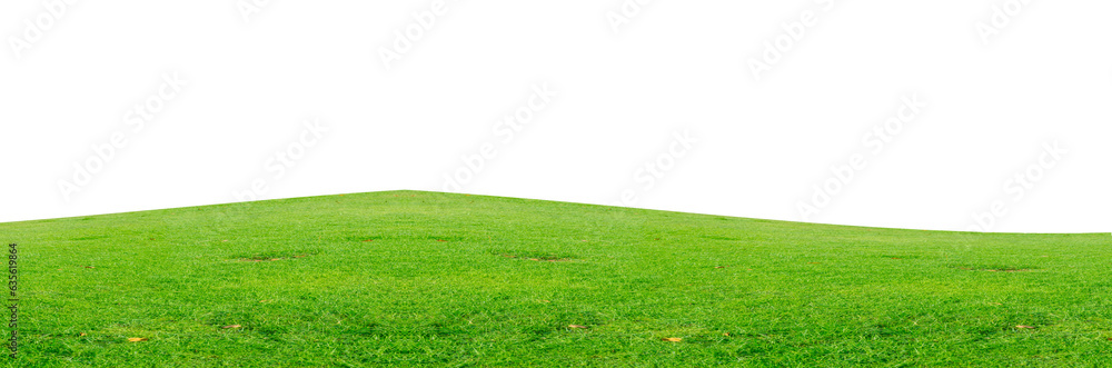 panorama green grass field PNG